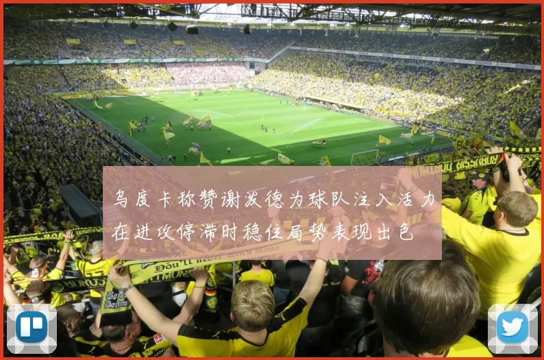 乌度卡称赞谢泼德为球队注入活力在进攻停滞时稳住局势表现出色